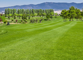 El pack perfecto para disfrutar en el Gambito G.C. Calatayud