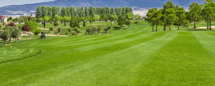 El pack perfecto para disfrutar en el Gambito G.C. Calatayud