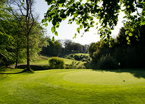Izki luce músculo de golf y ocio