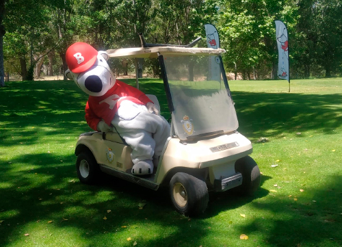 En marcha la sexta edición del Circuito Oso Bogey Santander Kids Tour