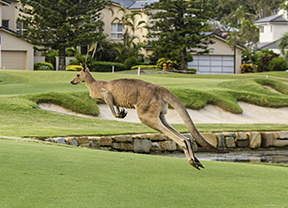 Las chicas se despiden de Australia con su cita más exigente